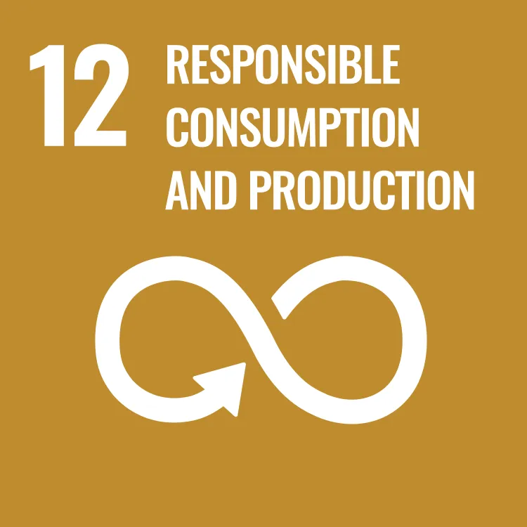 Sustainable Development goals 1 (3)